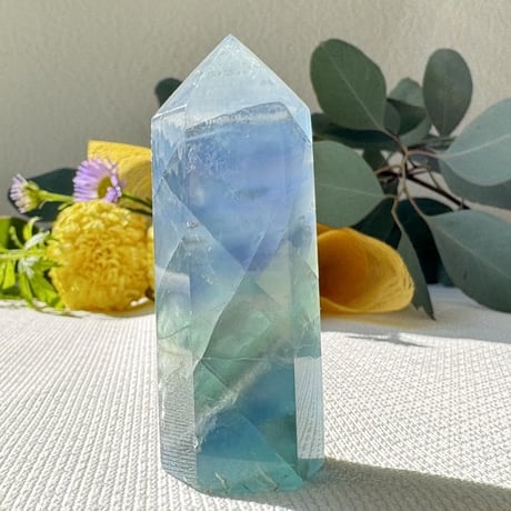 ブルーフローライト | STORES