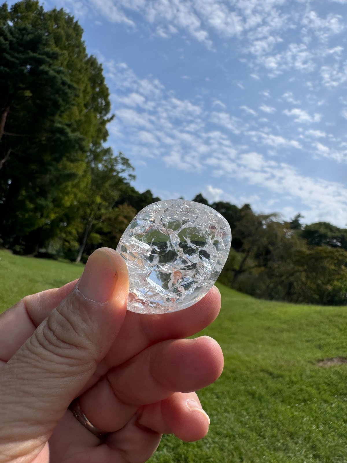 fit=scale-down,w=1200