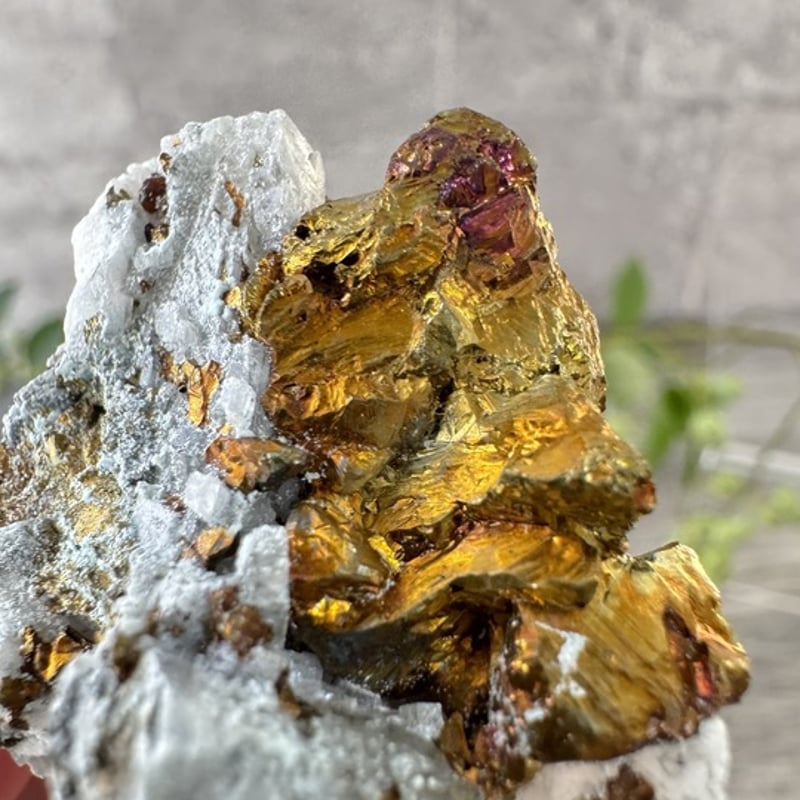 希少！キャルコパイライトクォーツ共生 原石 ドイツ Niederschlag mine