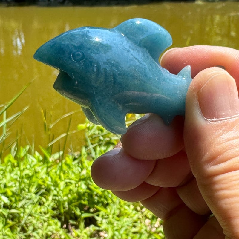 直感と勇気の象徴 トロレアイトのブルーサメ | Studio Kururi