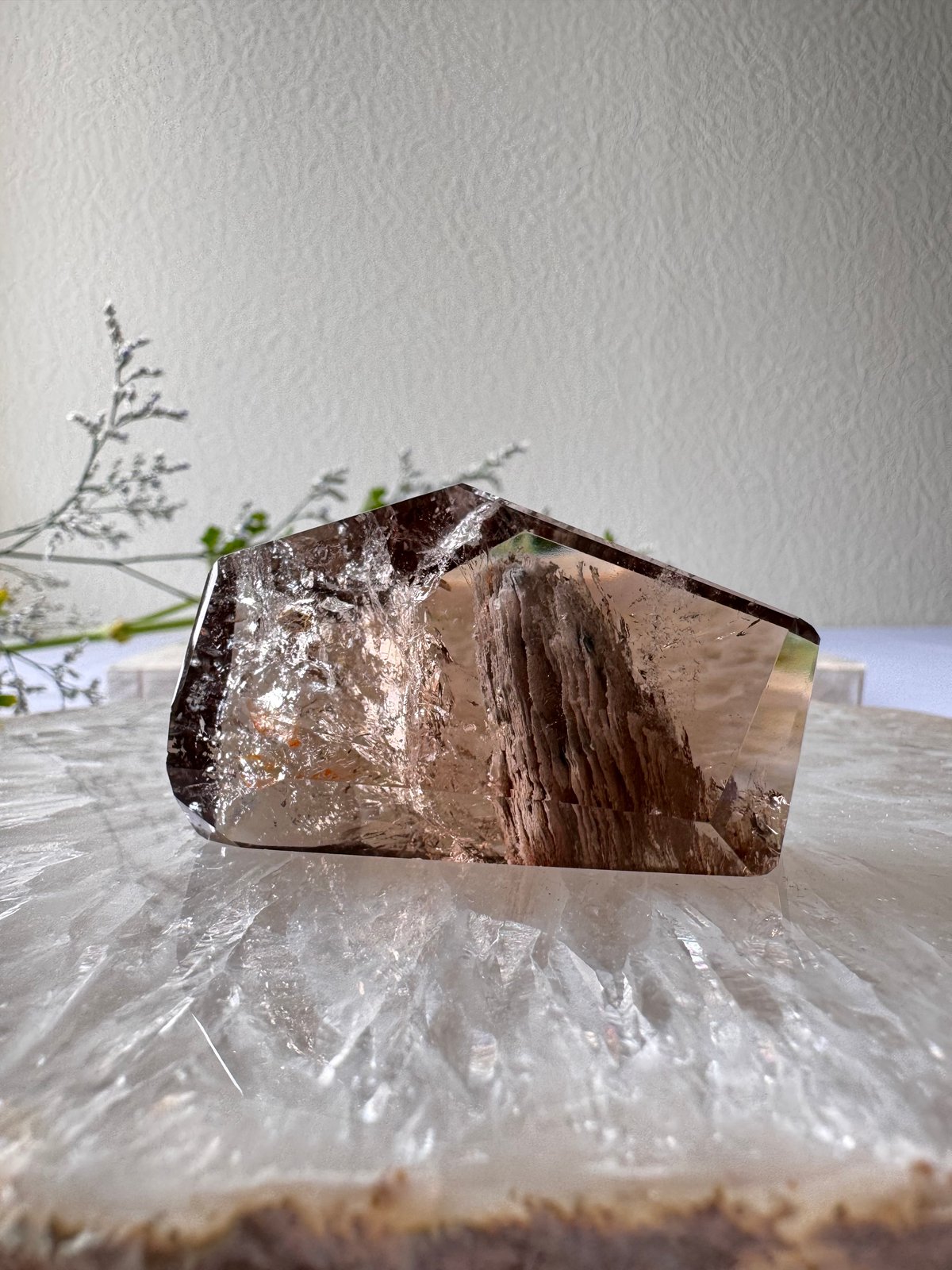 🌳《重なる記憶の庭──スモーキークォーツイン千層ガーデン》 𓂃𓈒𓏸