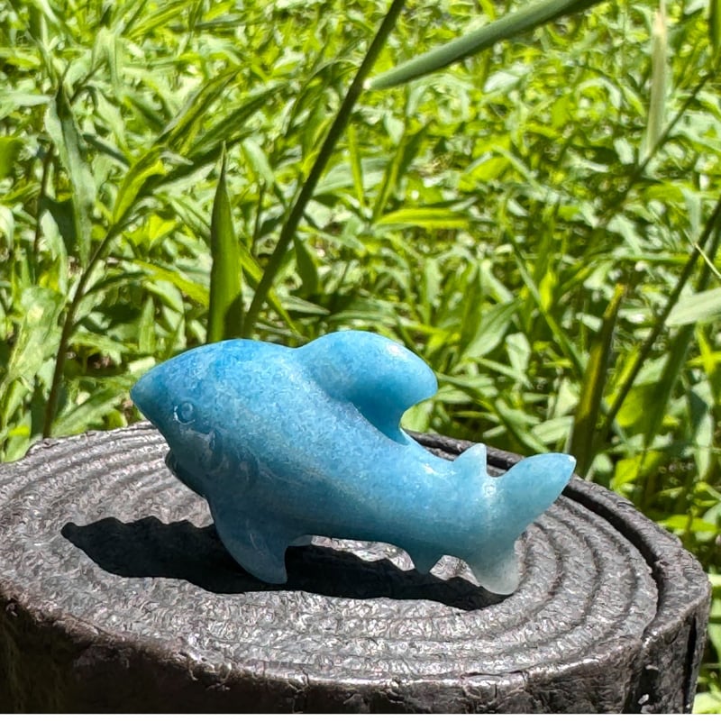 直感と勇気の象徴 トロレアイトのブルーサメ | Studio Kururi