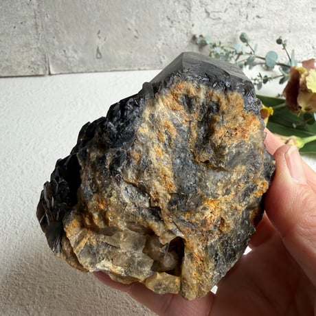 揺るがぬ芯を抱く黒結晶　－　コンゴ産モリオン