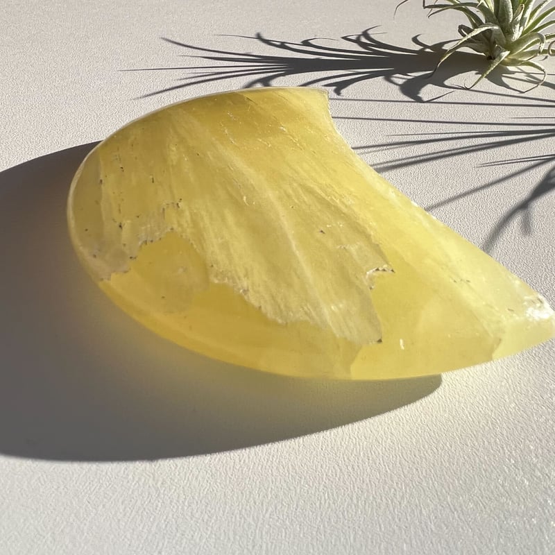 イエローカルサイトのお月さま🌙 | Studio Kururi