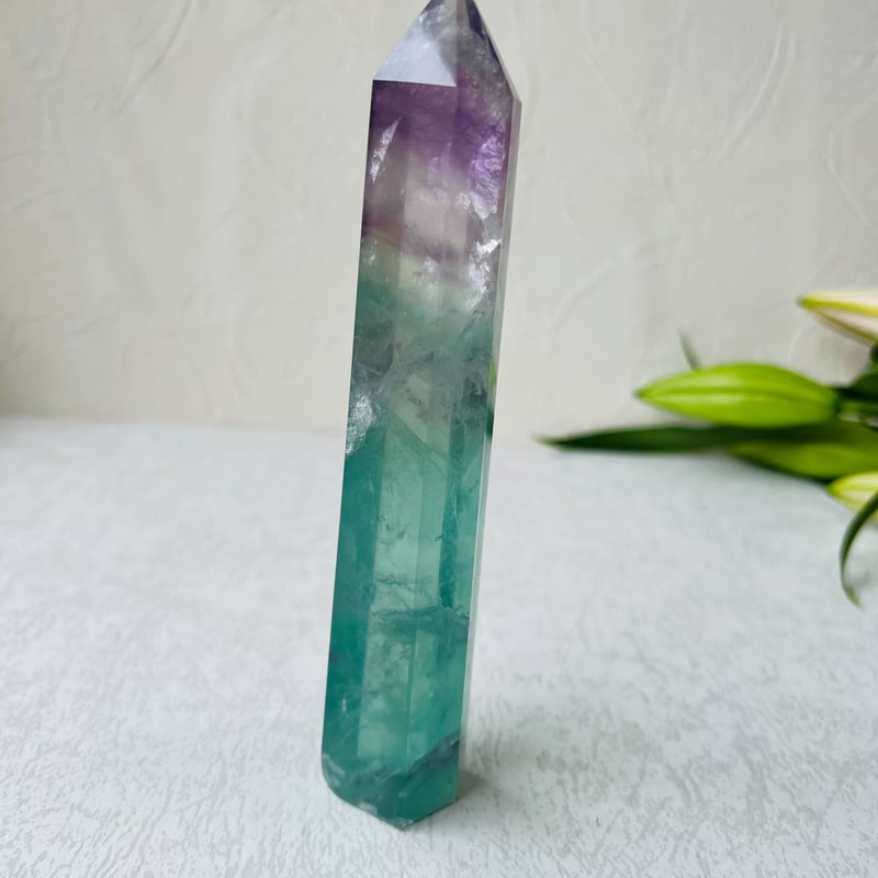 ウォーターメロンフローライト ① | Studio Kururi