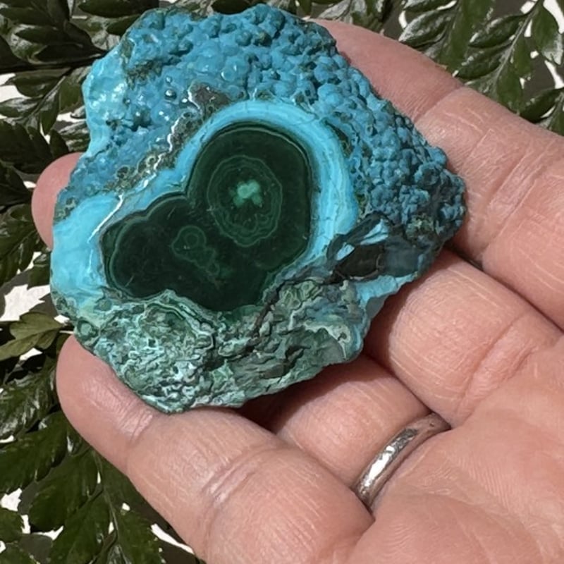 海と森が出逢う場所》 青と緑が溶けあう、深呼吸のようなひととき