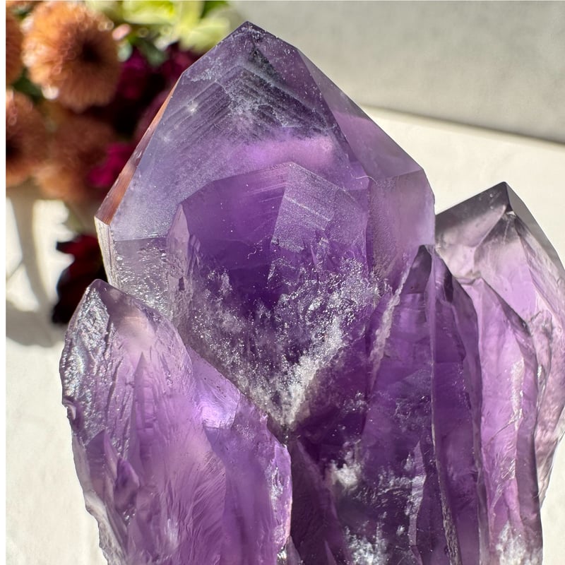 ✨ アメジスト ドラゴントゥース - 龍の牙が開く運命の扉 ✨ | Studio