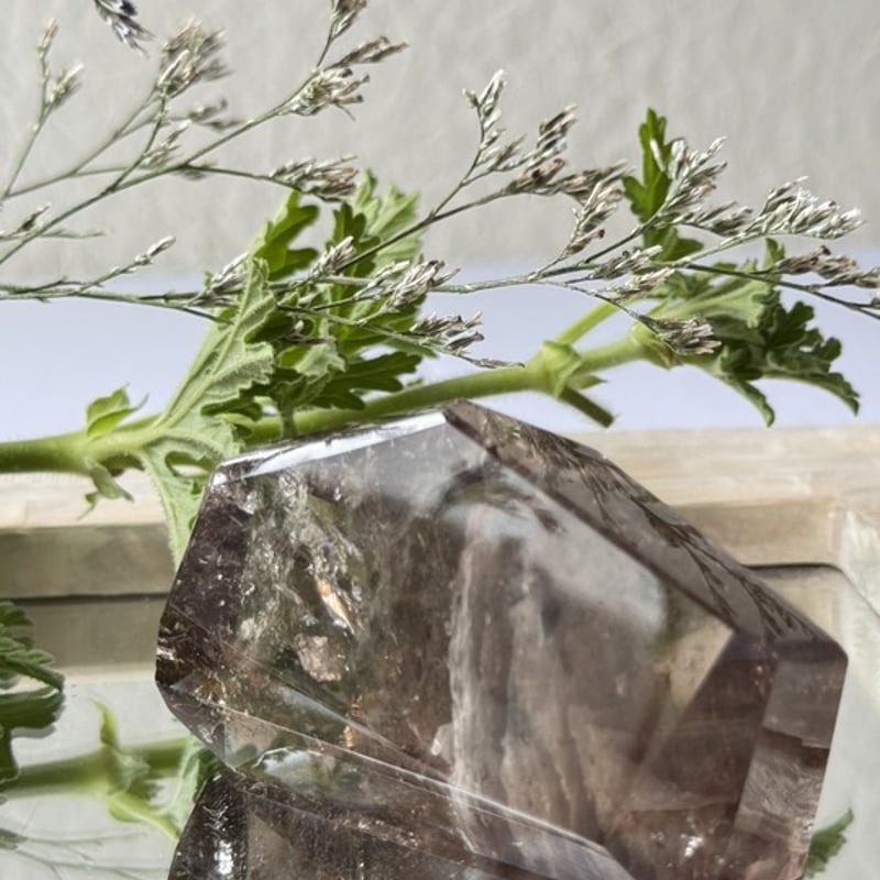 🌳《重なる記憶の庭──スモーキークォーツイン千層ガーデン》 𓂃𓈒𓏸