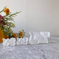 白龍が見せてくれる「守り」と「導き」の物語 　親子セット