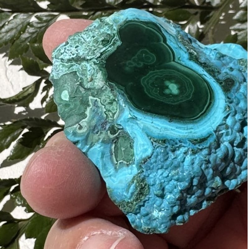 海と森が出逢う場所》 青と緑が溶けあう、深呼吸のようなひととき