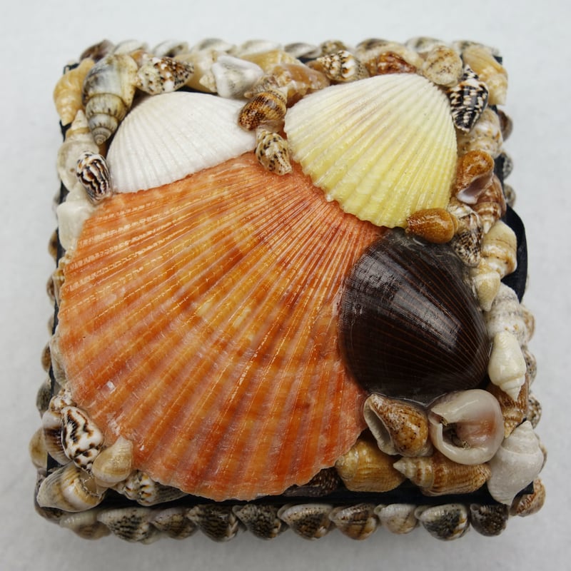 貝殻細工 小物入れ KULTURA | Asian Taste