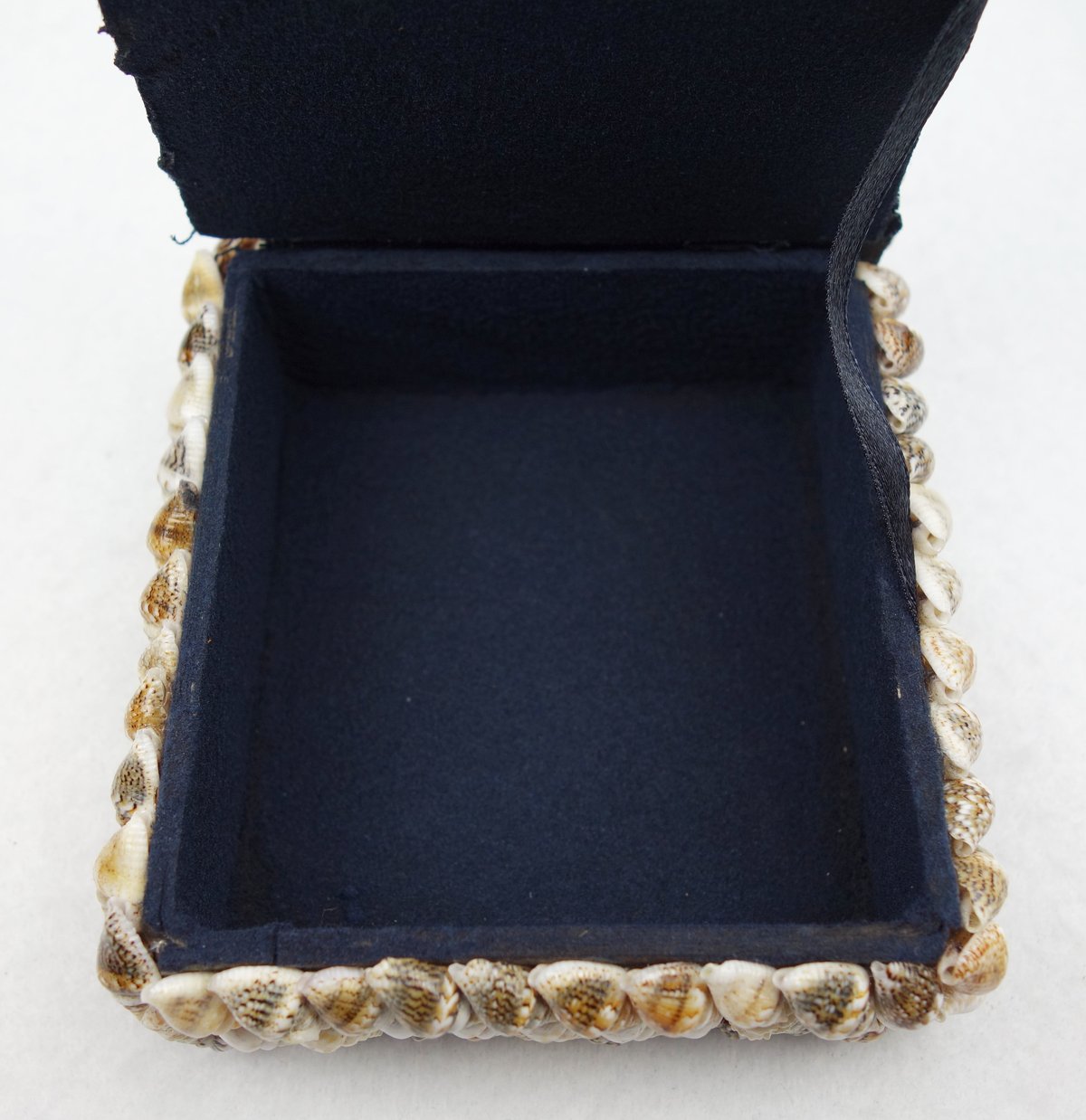 陶器製貝殻型小物入れ 楽天市場】貝殻 陶器製 小物入れ 器 二枚貝 巻貝 1個 お皿 パーツ 小物