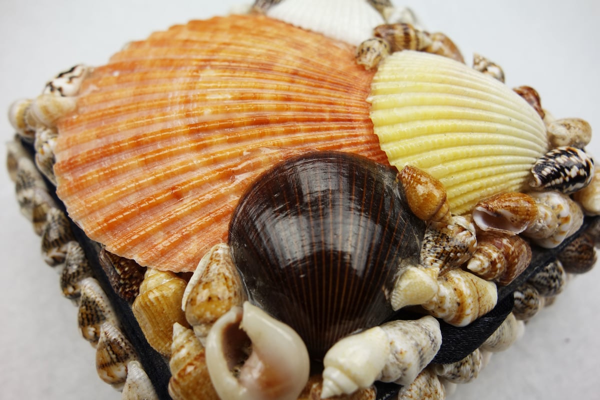 貝殻細工 小物入れ KULTURA | Asian Taste