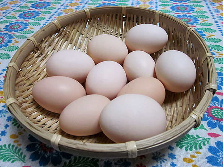 ★カイ★東京烏骨鶏有精卵30個★送料無料～★落札後生みたての卵を 東京烏骨鶏 烏骨鶏 30個 有精卵 種卵 放し飼い 【送料無料