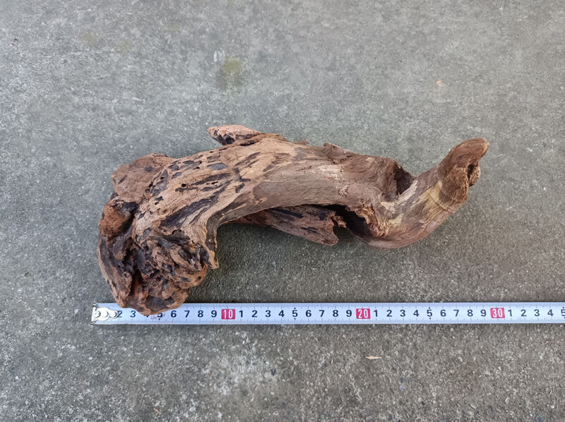 天然 流木 約27x12x12cm 約400g アクアリウム テラリウム 水槽