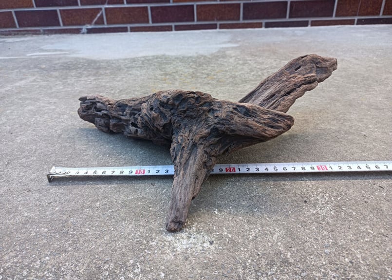 天然 流木 約37x20x11cm 約500g アクアリウム テラリウム 水槽 | 自然