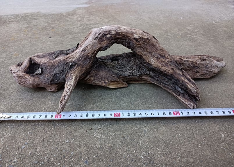 天然 流木 約46x17x12cm 約950g アクアリウム テラリウム 水槽 | 自然