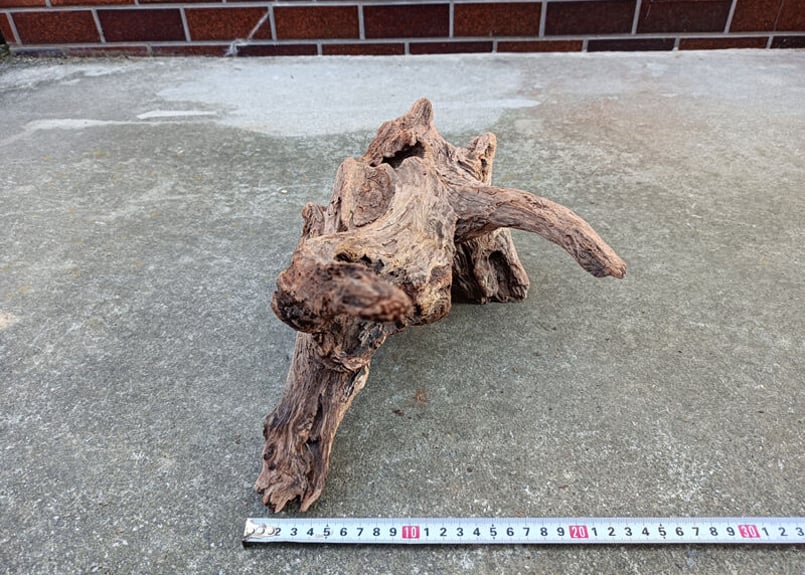 大型☆アクアリウム生花テラリウム 爬虫類天然流木 ホーンウッド⭐︎