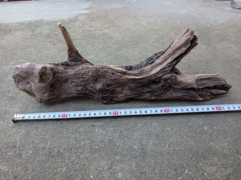 天然 流木 約46x17x12cm 約950g アクアリウム テラリウム 水槽 | 自然