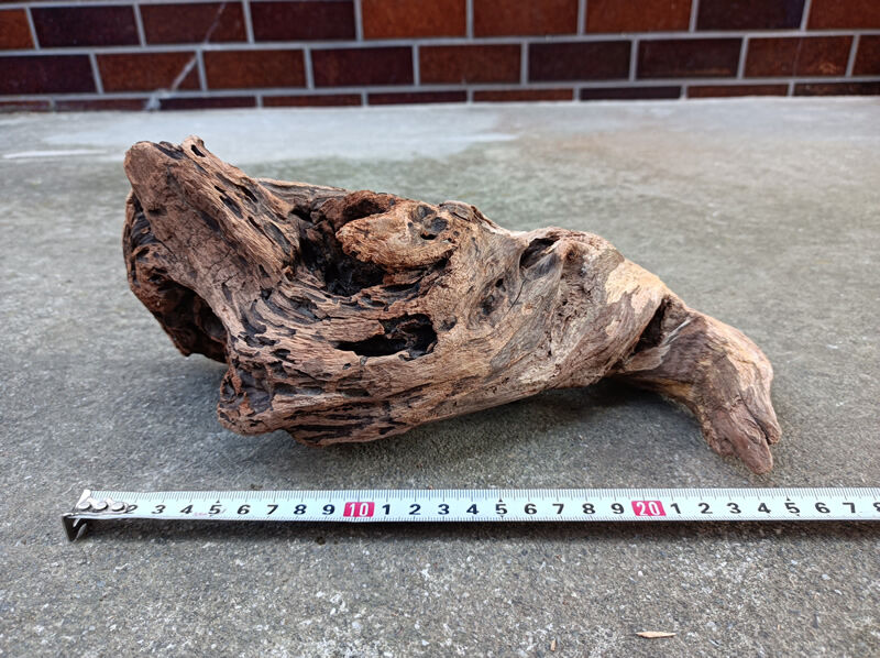 天然 流木 約27x12x12cm 約400g アクアリウム テラリウム 水槽 | 自然