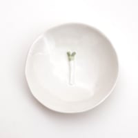 専用確認　￼さくらんぼの豆皿6枚　匠シリーズ 専用確認 ￼さくらんぼの豆皿6枚 匠シリーズ 専用確認 ￼さくらんぼの