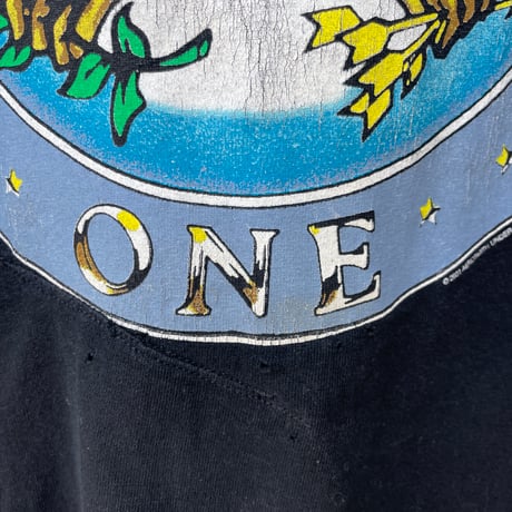 AERO SMITH エアロスミス @2001 AERO FORCE ONE Tシャツ