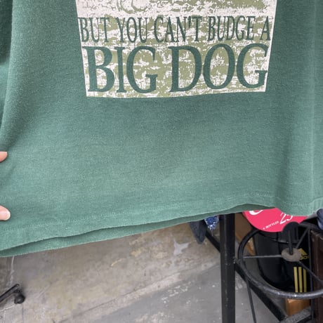 bigdogs マウンテン　Tシャツ