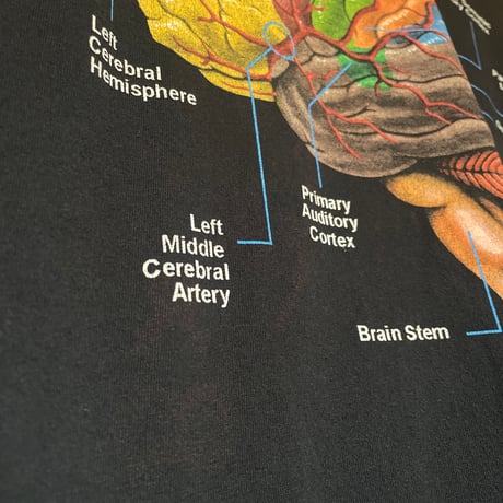 Brain Tシャツ