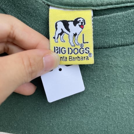 bigdogs マウンテン　Tシャツ