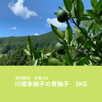 【クール便】自然栽培　川根本柚子の青柚子　有機JAS　3kg