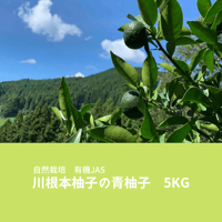 【クール便】自然栽培　川根本柚子の青柚子　有機JAS　5kg