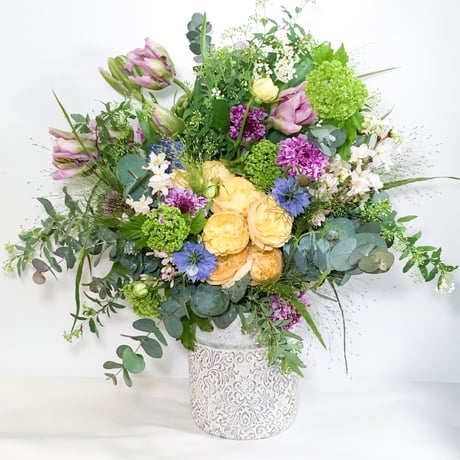 Seasonal Arrangement 『 D 』
