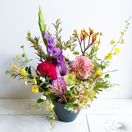 STORES 植物の検索結果 STORES 植物の検索結果