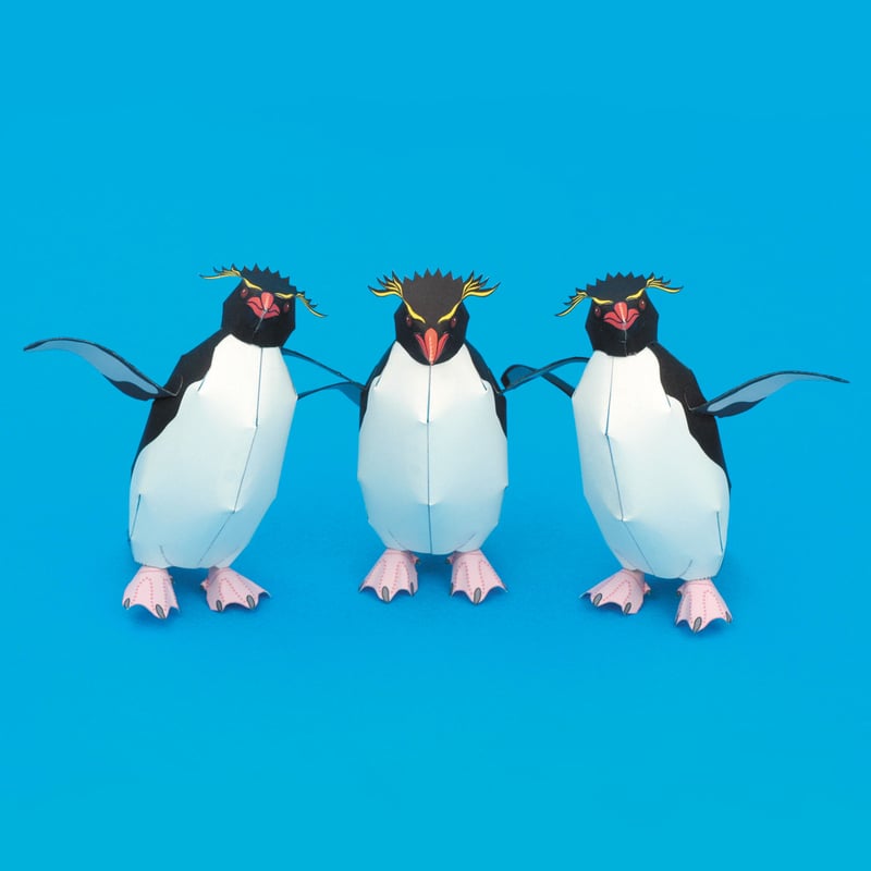 イワトビペンギン：Rockhopper Penguin（紙工作キット） | KeiCraft 