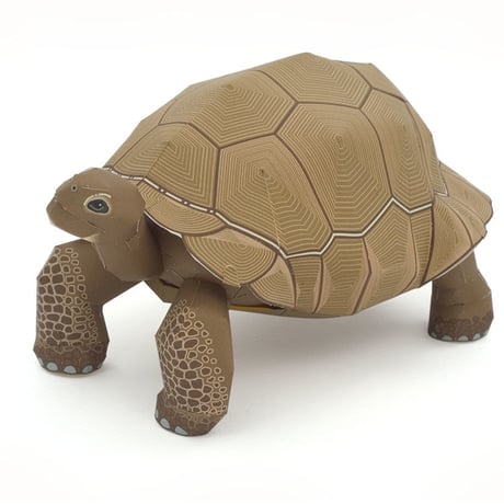 ガラパゴスゾウガメ：Giant Tortois      （紙工作キット）