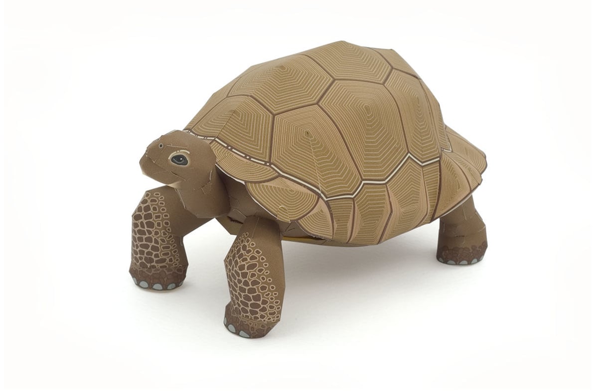 Collcta ガラパゴスゾウガメ rdzdsi3 中古】Collcta ガラパゴスゾウガメ rdzdsi3（88619 Collecta