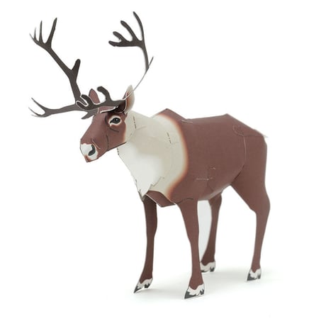 トナカイ：Reindeer（紙工作キット）