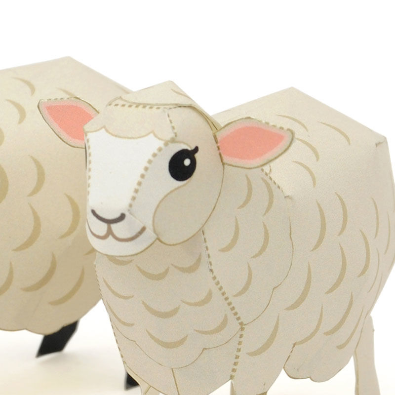 ひつじ（コリデール種＆サフォーク種） ：Corriedale Sheep & Suffolk