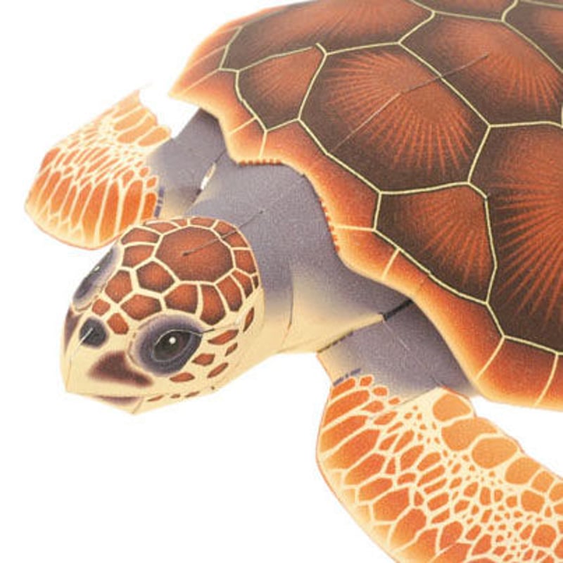 アカウミガメ：Loggerhead turtle（紙工作キット） | KeiCraft Onl