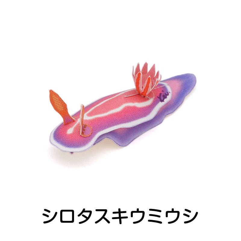 ウミウシ ：Sea Slug（紙工作キット） | KeiCraft Online Shop
