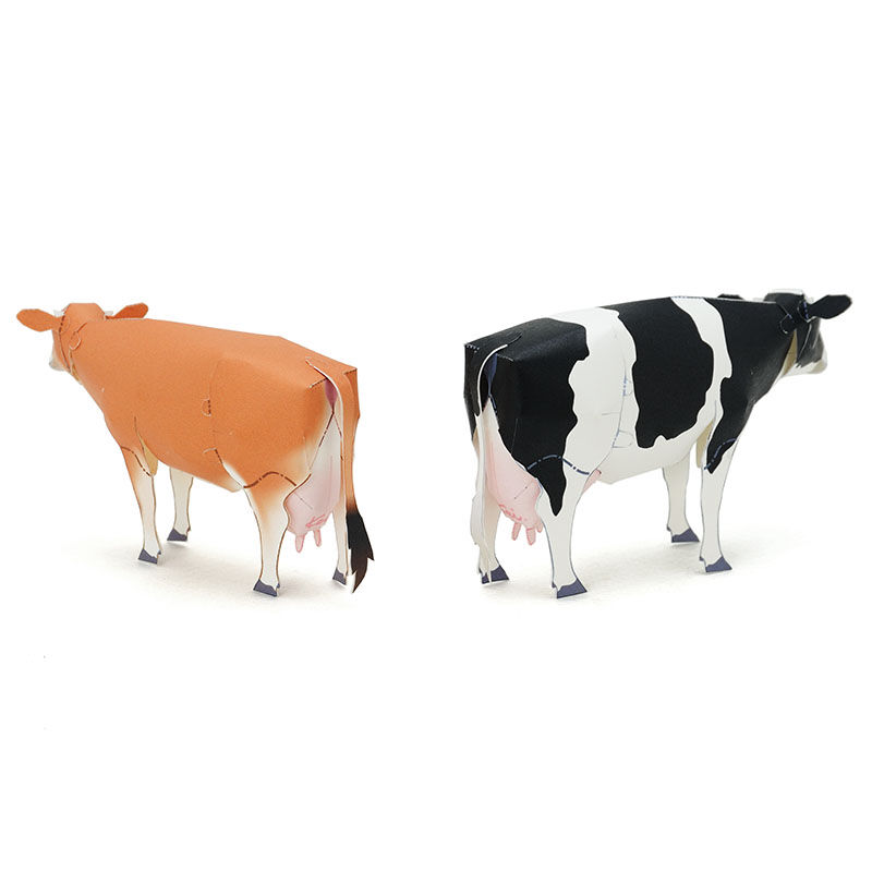 乳牛（ホルスタイン種・ジャージー種） ：Cow（Holstein Cow