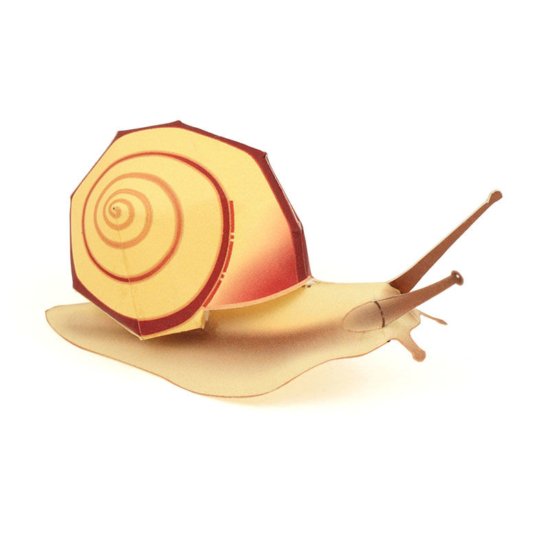 カタツムリ＜クチベニマイマイ＞ ： Snail < Euhadra amaliae >（紙工作