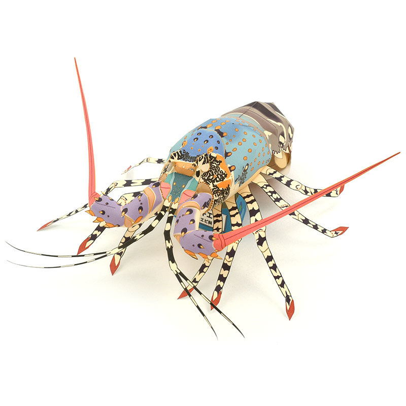 ニシキエビ：Tropical spiny lobster（紙工作キット） | KeiCraft