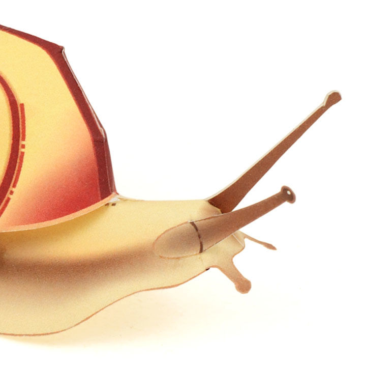 かたつむり かむ ツム Yoshimura ZX-6R 2019-25 AT2 Stainless 3/4 Exhaust System, w