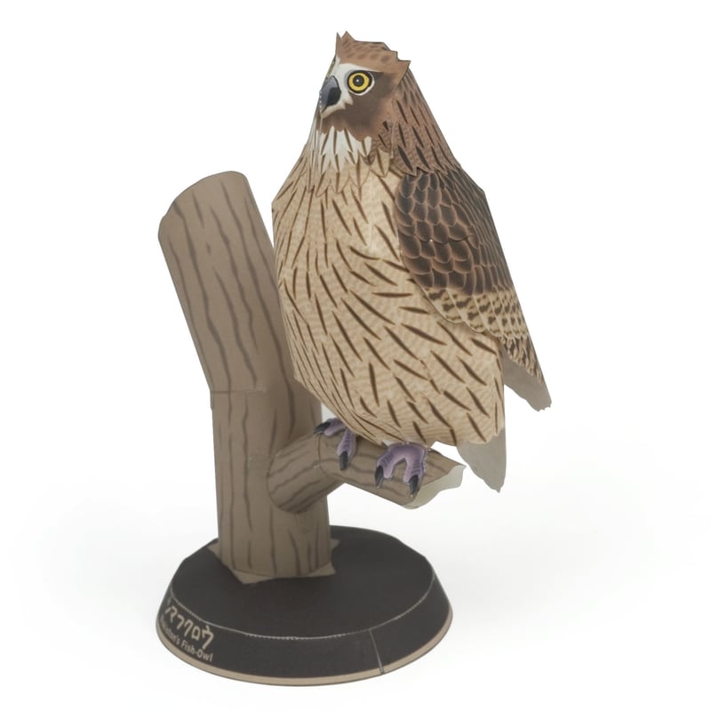 シマフクロウ：Blakiston's Fish-Owl（紙工作キット