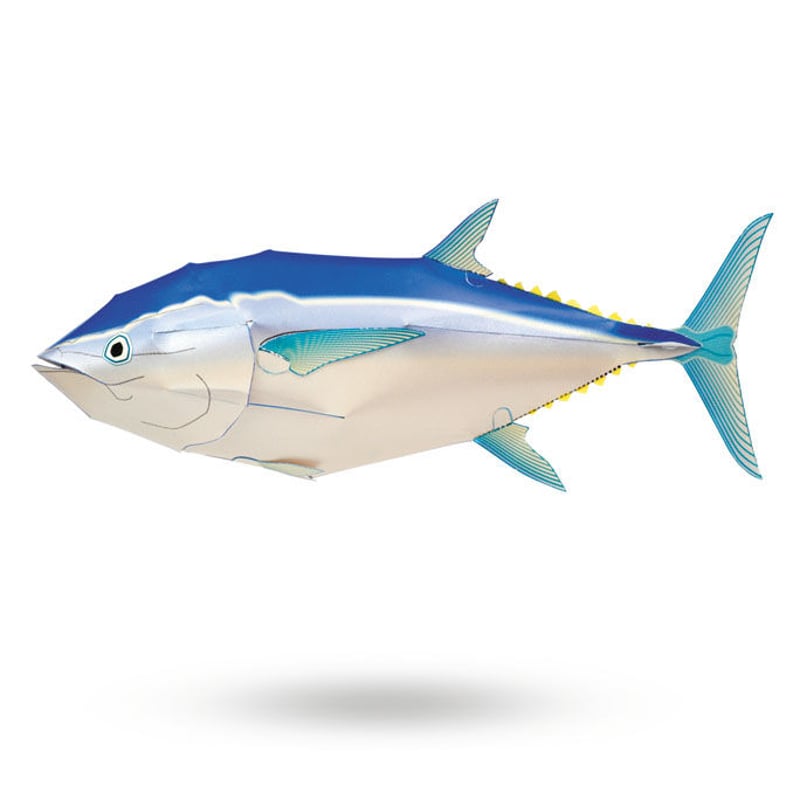 クロマグロ：Bluefin Tuna（紙工作キット） | KeiCraft Online Shop