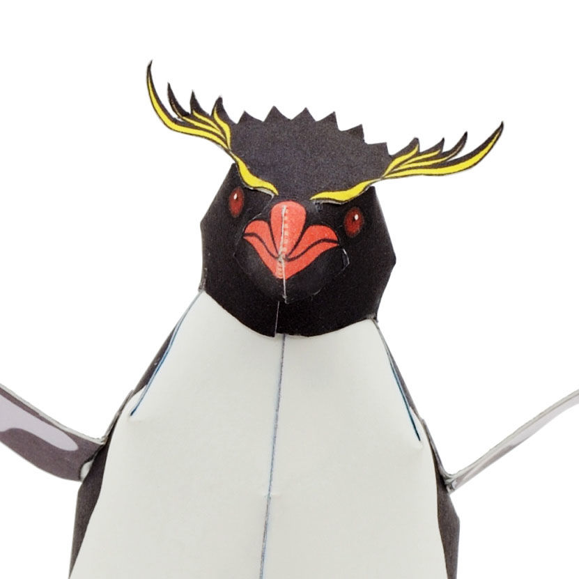 イワトビペンギンの剥製 本物剥製] イワトビペンギン 身長39cm 台座付き : 良品倶楽部