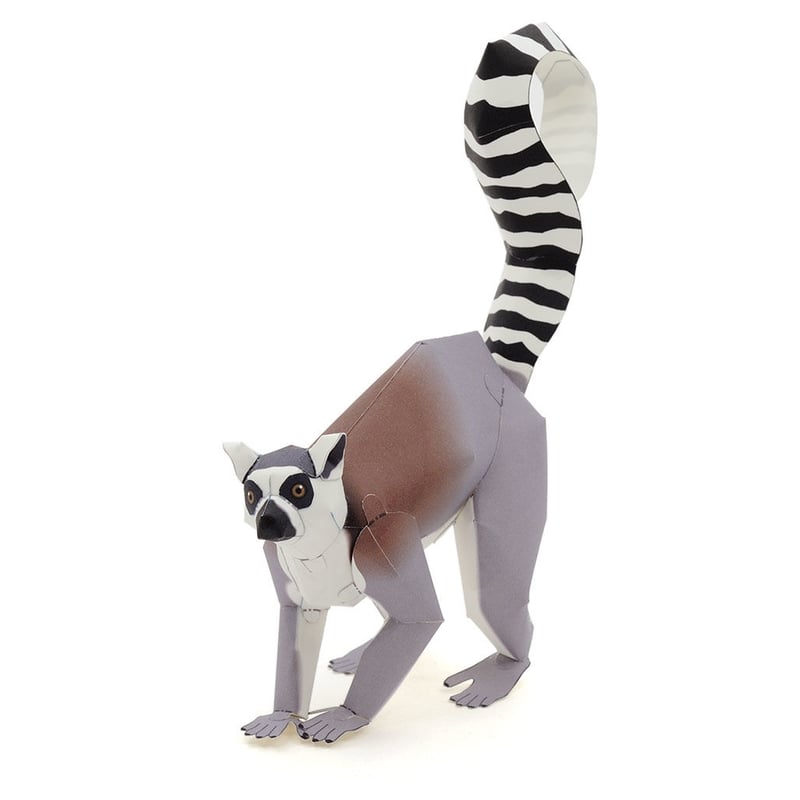 マダガスカルのキツネザル アート作品 マダガスカルのキツネザル アート作品 マダガスカルのキツネザル