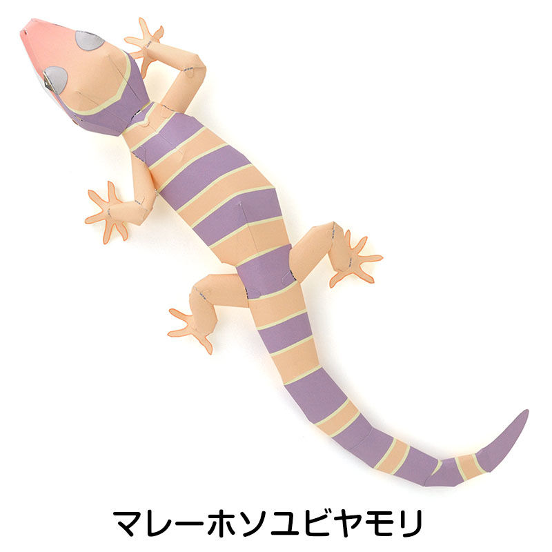 やもり：Gecko（紙工作キット） | KeiCraft Online Shop