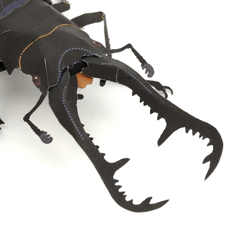 ギラファノコギリクワガタページ ギラファノコギリクワガタ標本83㍉野外品 - メルカリ